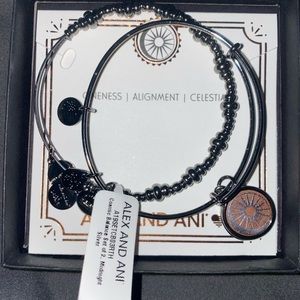 Alex and Ani Bracelets: Cosmic Balance Set of 2